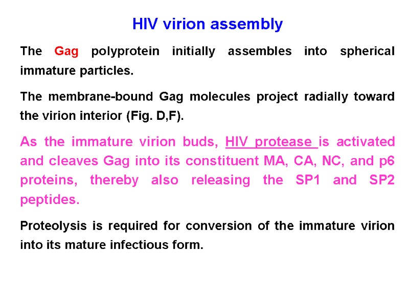 HIV virion assembly The Gag polyprotein initially assembles into spherical immature particles. The membrane-bound